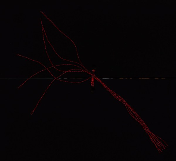 2 Akauzaste+lazo+800